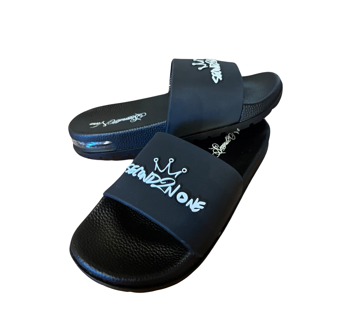 S2N Slides