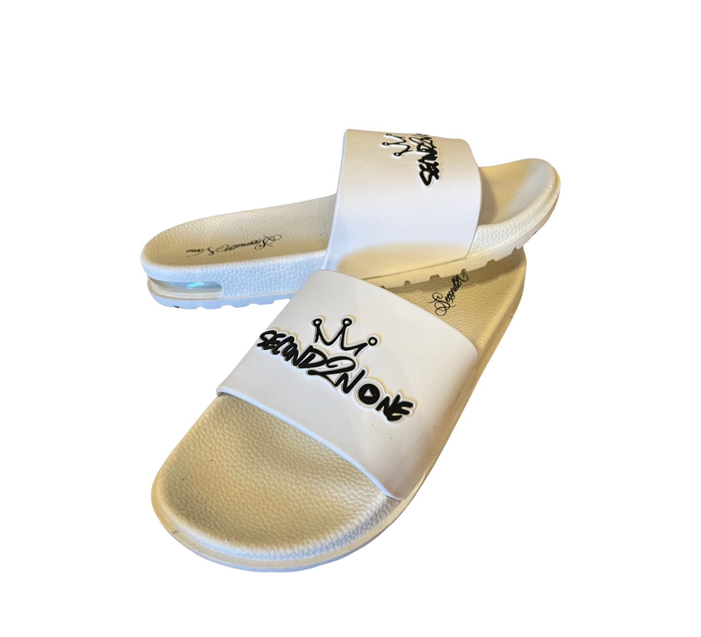 S2N Slides